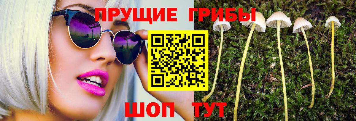 Псилоцибиновые грибы GOLDEN TEACHER Корсаков