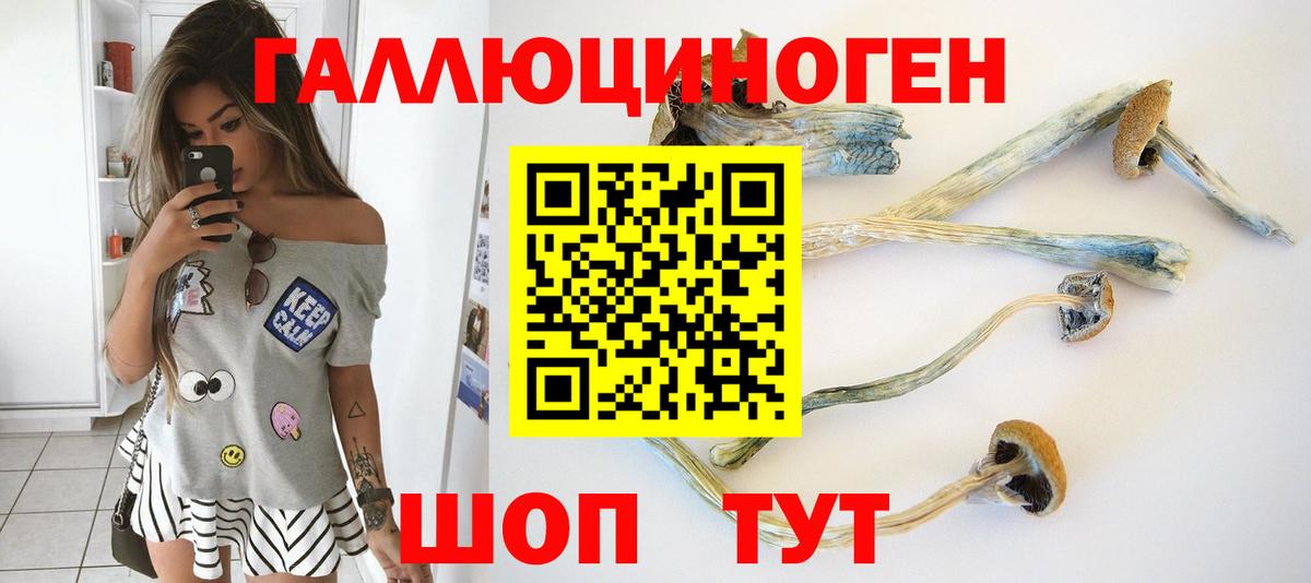 Псилоцибиновые грибы Psilocybe  Вход с VPN  Корсаков 